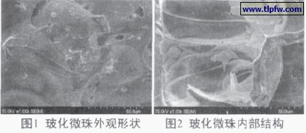 ?；⒅橥庥^形狀及內部結構